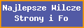 Najlepsze Wilcze Strony i Fora